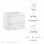 Render 24" Wall-Mount Bathroom Vanity Cabinet (Sink Basin Not Included) by Modway