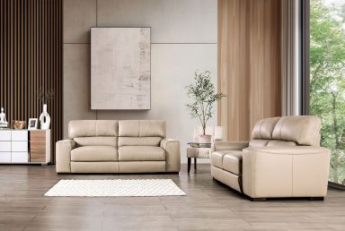 Power Sofa + Loveseat
