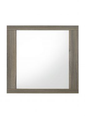(Beige & Gray Finish)