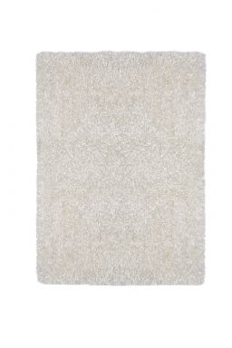 5' X 7' Area Rug