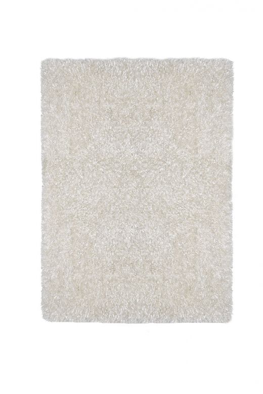 5' X 7' Area Rug