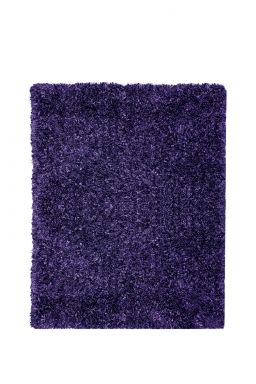 5' X 8' Area Rug