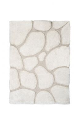 5' X 8' Area Rug