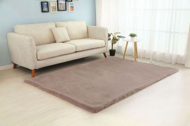 5' X 7' Area Rug, Blush
