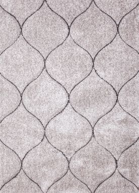 5' X 7' Area Rug