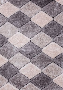 5' X 7' Area Rug