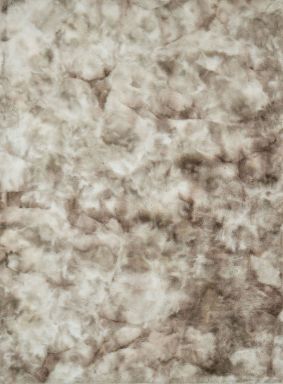 5' X 7' Area Rug