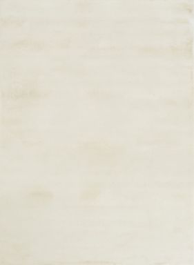 5' X 7' Area Rug